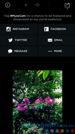 Chia sẻ ảnh trên SNS Chia sẻ ảnh trên SNS
