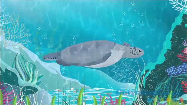 Xem video động