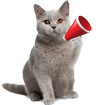 Real Cat Sounds cho Windows 8