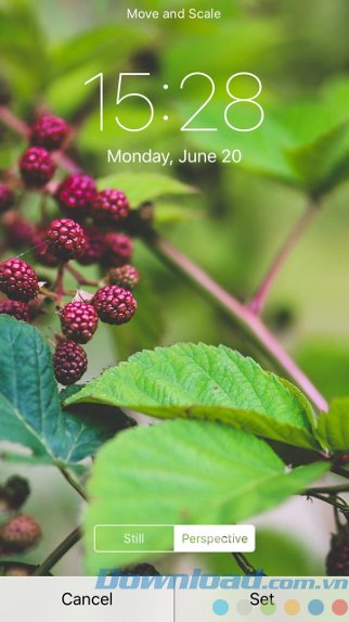 Cài đặt cho máy