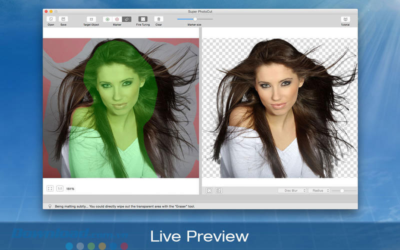 Xem thay đổi với tính năng Live Preview