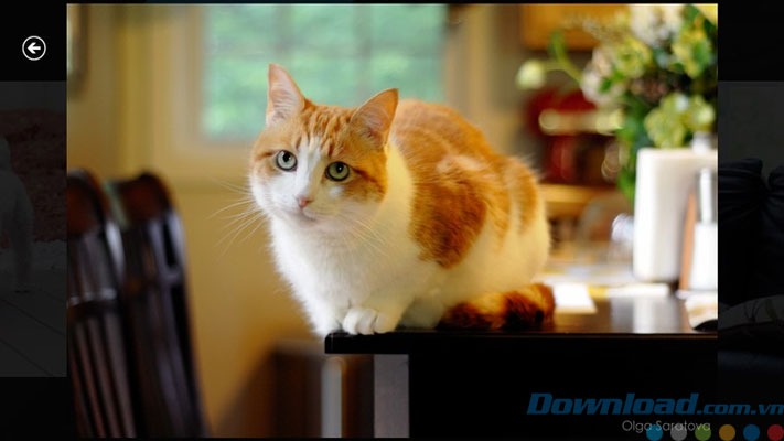 Xem toàn màn hình