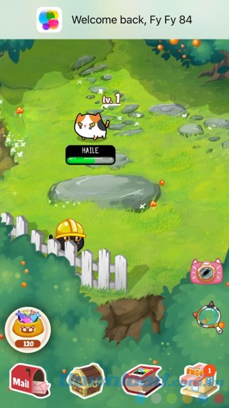 Game nuôi mèo ảo