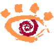 🖼️