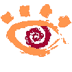 XnShell