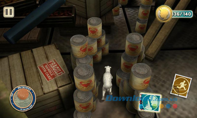 Cùng những người bạn của Tintin vượt qua thử thách