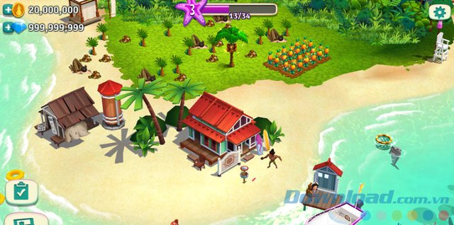 Trồng hoa màu
