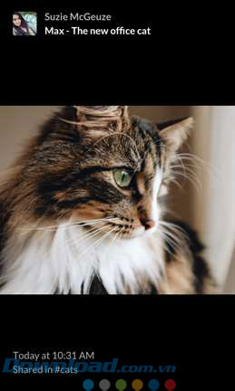 Chia sẻ hình ảnh với ứng dụng chat Slack