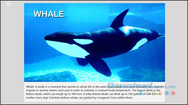 Sách động vật Sách động vật