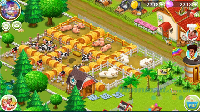 Chăn nuôi lợn, gà