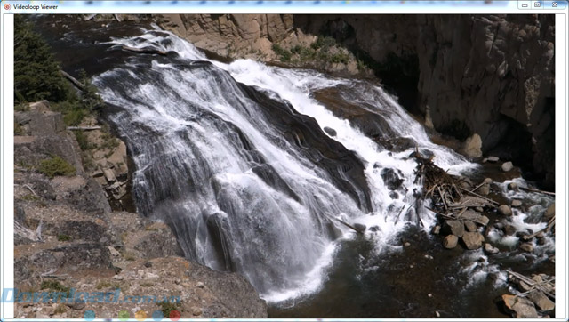 Xem video trên VideoLoop Viewer