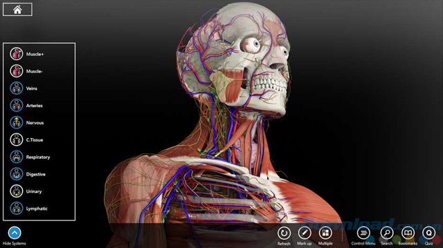 Giao diện của Essential Anatomy