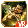 🖼️