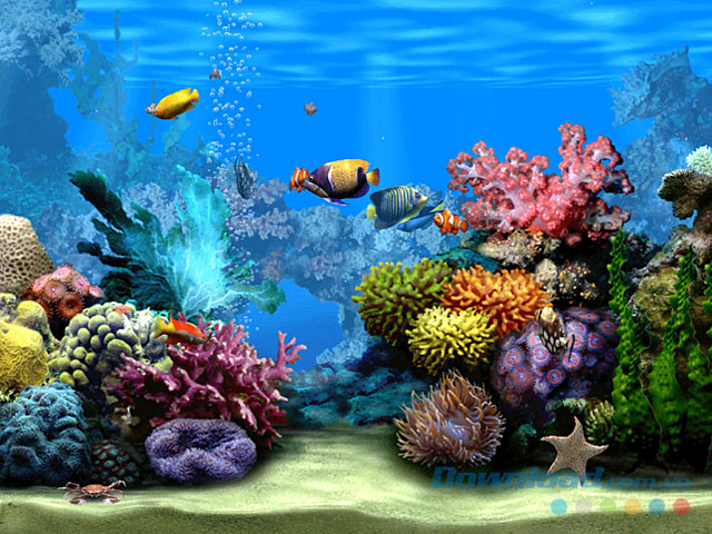 Đồ họa 3D sống động