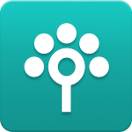 🖼️