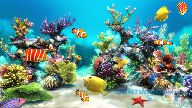 Biến desktop thành bể cá với Sim Aquarium