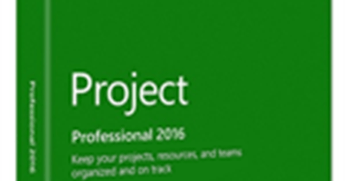 Microsoft Project 2016/2019