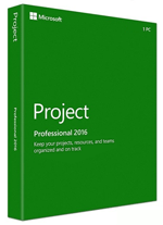 Microsoft Project 2016/2019