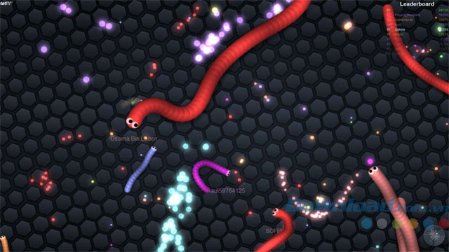 Game rắn săn mồi online