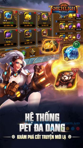 Hệ thống Pet