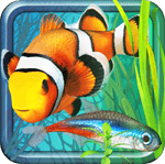 Fish Farm 2 cho Android