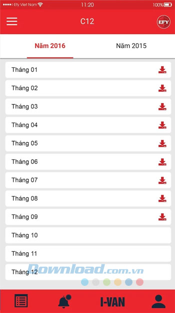 Mẫu C12