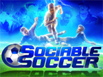 Sociable Soccer
