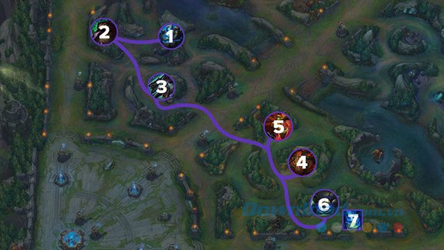 Thay đổi về rừng