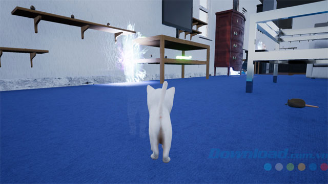 Game chạy đua cùng mèo con Kitten Madness