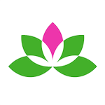 Yoga Studio