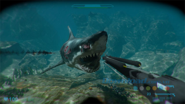 Game săn cá mập Shark Attack Death Match 2