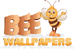 Bee Wallpapers