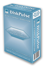 Disk Pulse Pro