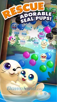 Giải cứu các nhóc hải cẩu dễ thương