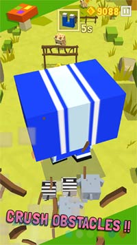 Vượt qua mọi chướng ngại vật