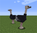 Exotic Birds Mod