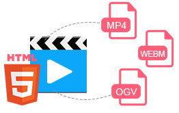 Any Video Converter Pro hỗ trợ HTML 5