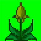 🖼️