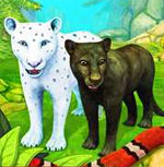 Puma Family Sim Online