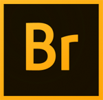 Adobe Bridge 2026