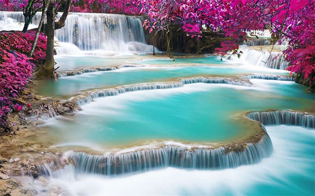 Ứng dụng hình nền Swimming Holes
