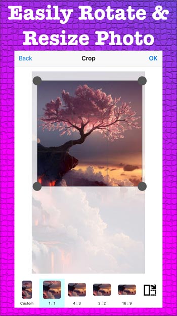 Dễ dàng xoay và thay đổi kích thước ảnh