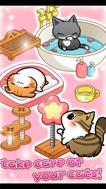 Xây dựng và trang trí căn phòng tuyệt đẹp cho mèo