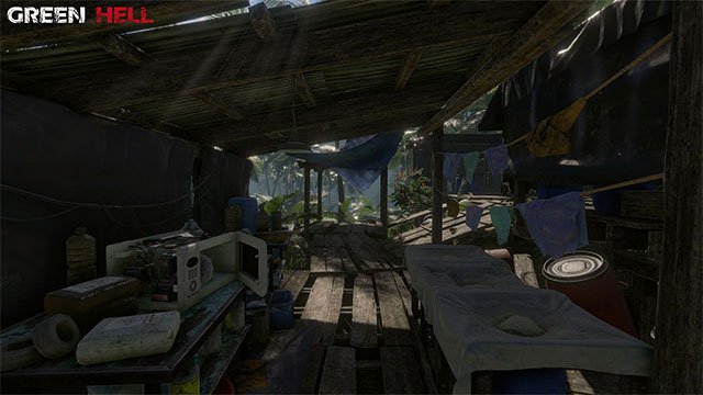 Xây nhà ở trong rừng