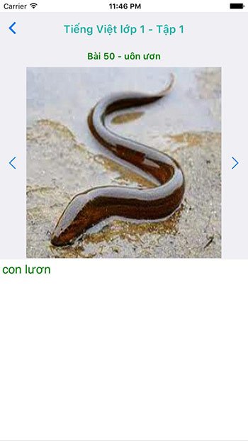 Tiếng Việt Lớp 1 
