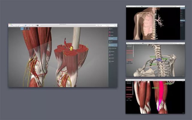 Ứng dụng giải phẫu học 3D