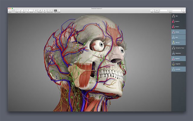 Giao diện Essential Anatomy 5 for Mac