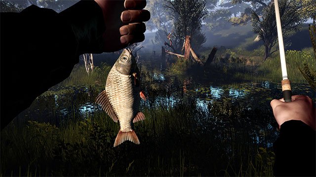 Game câu cá Professional Fishing