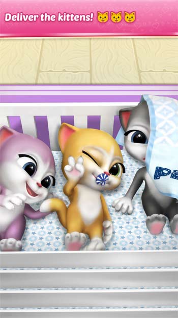 Chăm sóc mèo mẹ Emma và 3 bé mèo con trong Pregnant Talking Cat Emma