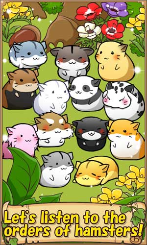 Lắng nghe yêu cầu của những chú hamster và nấu cho chúng những món ăn ngon